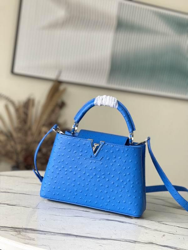 LV Handbags 254